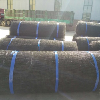 三維侵蝕防護毯 品質(zhì)保障 服務(wù)周到 安平縣實力廠家