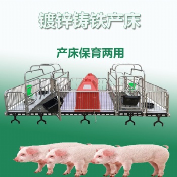母豬產(chǎn)床廠家小豬保育床