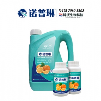 紅肉臍橙預防大小年見效快的法子快來諾普琳看看