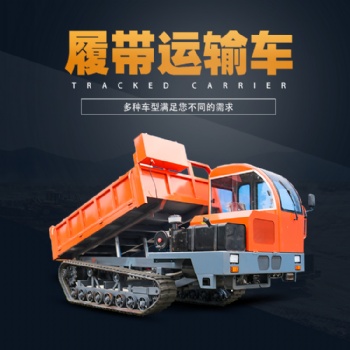 現(xiàn)貨供應履帶運輸車 山區(qū)多功能四不像履帶運輸車