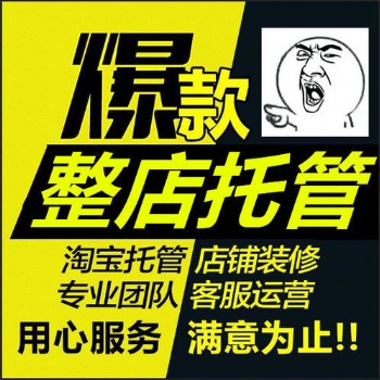 壽光網(wǎng)店代管理_淘寶代運營_美工裝修設(shè)計_拼多多外包推廣
