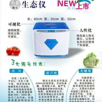 多功能生態(tài)儀（食物解毒機）廠家