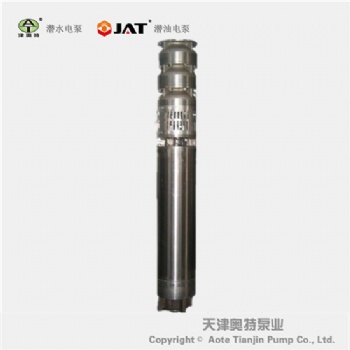 大型不銹鋼潛水電泵_新款_批發(fā)_津奧特