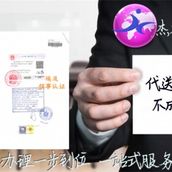 法國(guó)領(lǐng)事館公司損益表雙認(rèn)證