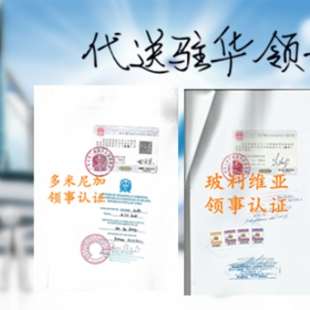 埃及領(lǐng)事簽章出口登記表|委托聲明