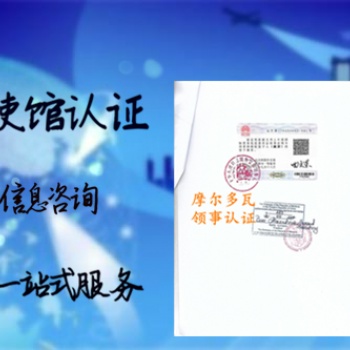 馬來西亞使館認(rèn)證董事名單<公司損益表