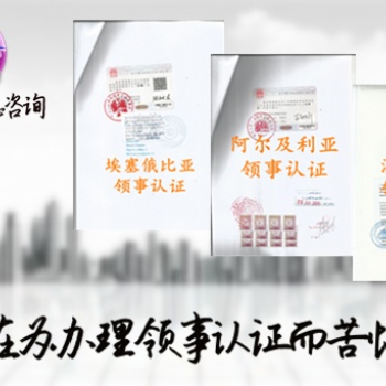 敘利亞**需要的敘利亞領事加簽初次注冊證書