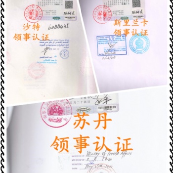 愛爾蘭領(lǐng)事館SGS證書|經(jīng)銷聲明|銷售協(xié)議認(rèn)證