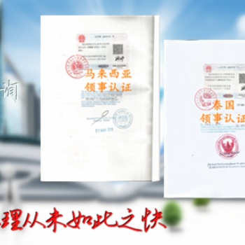 土耳其無犯罪記錄公證書領事館簽章土耳其領事館無犯罪記錄公證簽章土耳其無犯罪記錄公證大使館簽章