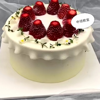 蛋糕學(xué)校招生南陽(yáng)學(xué)蛋糕烘焙培訓(xùn)一對(duì)一教學(xué)