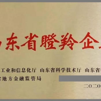 濟寧申報瞪羚獨角獸企業(yè)的具體條件是什么