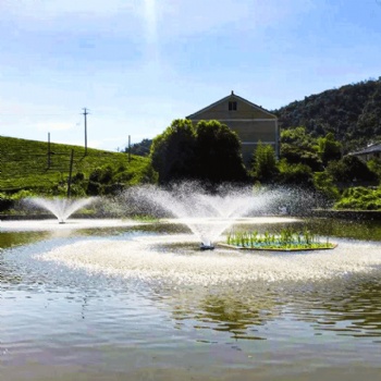 如克環(huán)保 RPQ 噴泉曝氣機(jī) 景觀花式噴泉