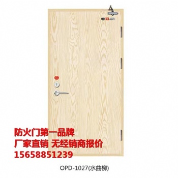 南京木質(zhì)防火門現(xiàn)貨價(jià)格