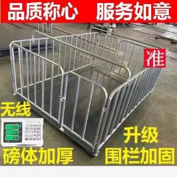 豬場(chǎng)用無(wú)線電子圍欄地磅供防抖動(dòng)防遙控