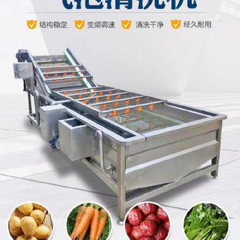 商用大型全自動氣泡清洗機大棗冬筍易損食品高壓翻滾清洗機
