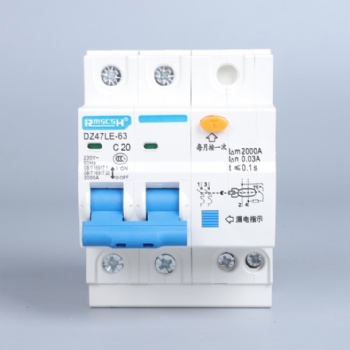 DZ47LE-63漏電保護器1P+N2P家用漏電斷路器6~6**現(xiàn)貨