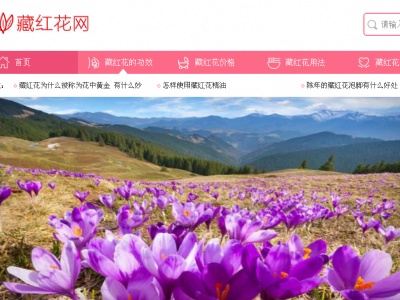 藏紅花網(wǎng)